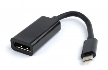 USB-C male naar Display Poort female kabel - 15cm