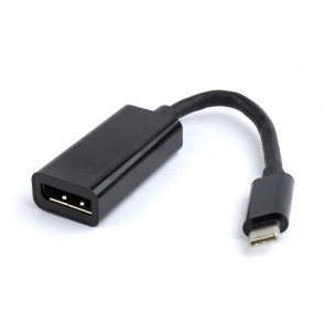 USB-C male naar Display Poort female kabel - 15cm